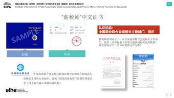北京人力资源服务行业协会