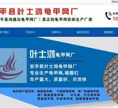 龟甲网资料大全-www.guijiawangchang.com查询结果-站长资源平台