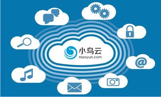 小鸟云计算以质量为本,率先调整行业风向