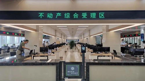 山东 大数据驱动自然资源政务服务流程再造
