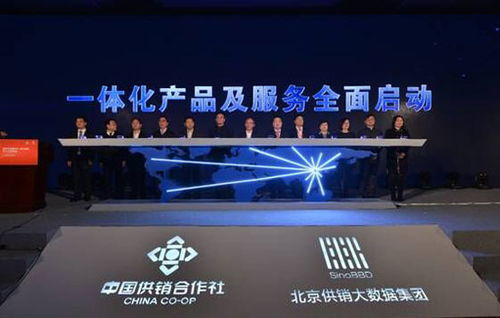 发挥智慧协作能力 为北京四个中心建设贡献力量