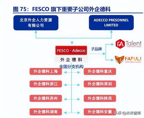 人力资源服务行业研究 疫后复苏的海外经验启示
