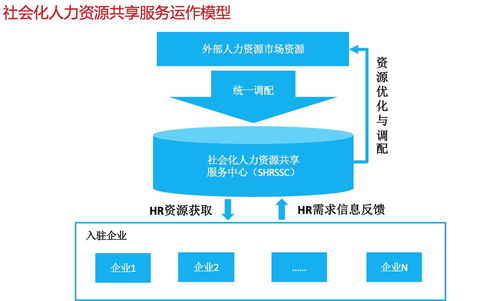 人力资源共享服务中心